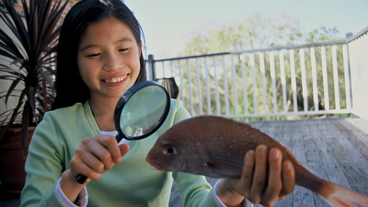 Backyard Science Now in Scootle