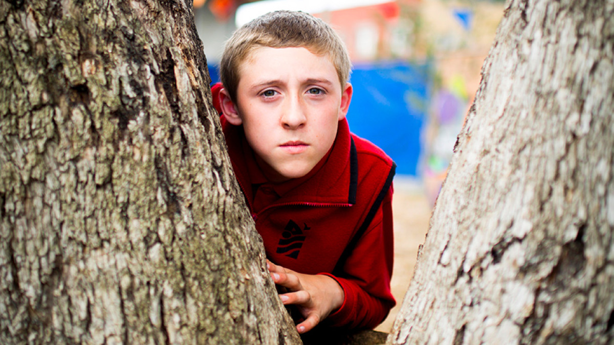 Schools Tree Day ‚Äì 28 July 2017