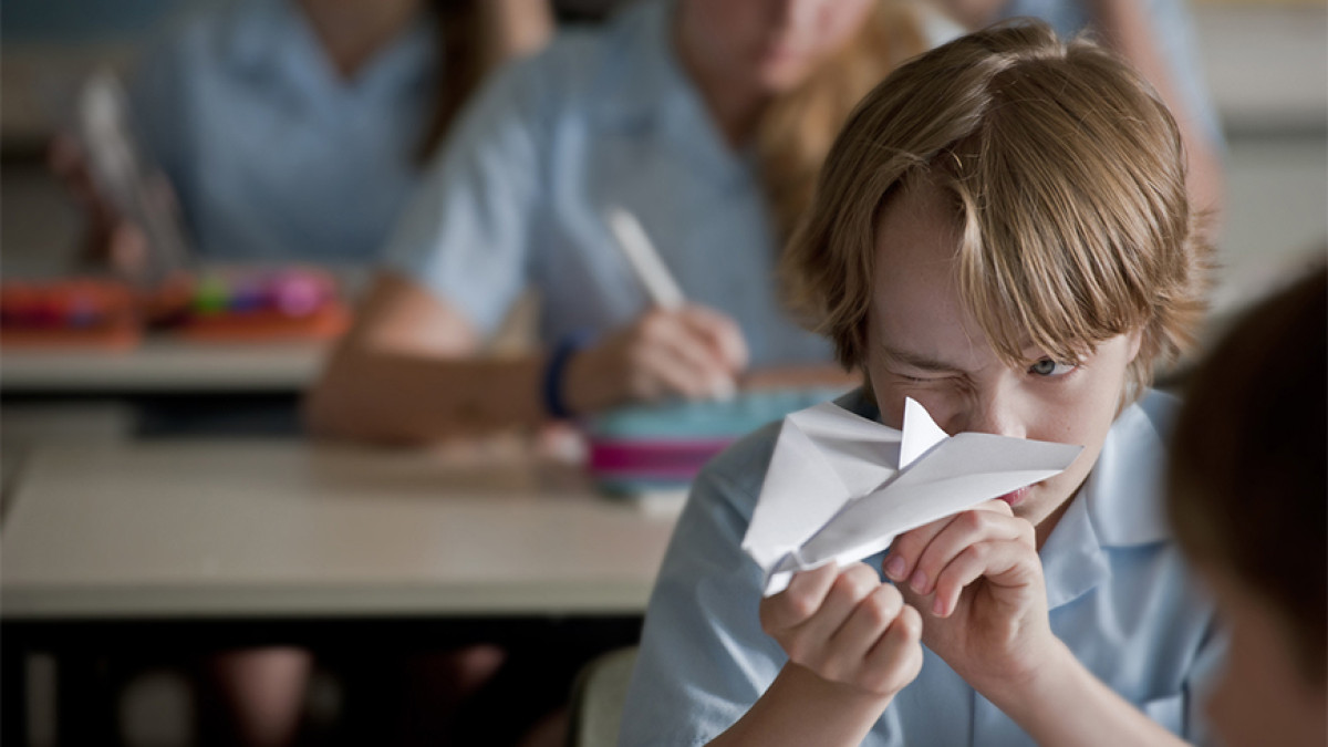 Cruise into the holidays with Paper Planes 