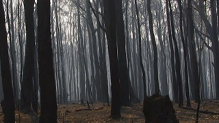 Commemorating the Black Saturday Bushfires 