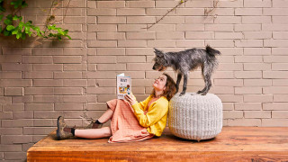 Cameras ready to roll on family feature film RUNT with all-star cast