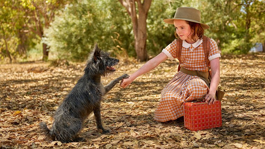 Runt Runt, Australian classic movies, Craig Silvey, Australian children's television, Australian screen content