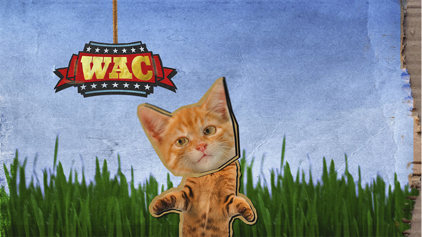 870x489px 0002 Wac Kitten